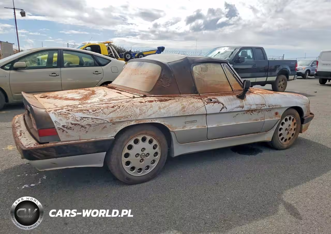 1988 Alfa Romeo Spider VIN:ZAR11538002486455 - 3