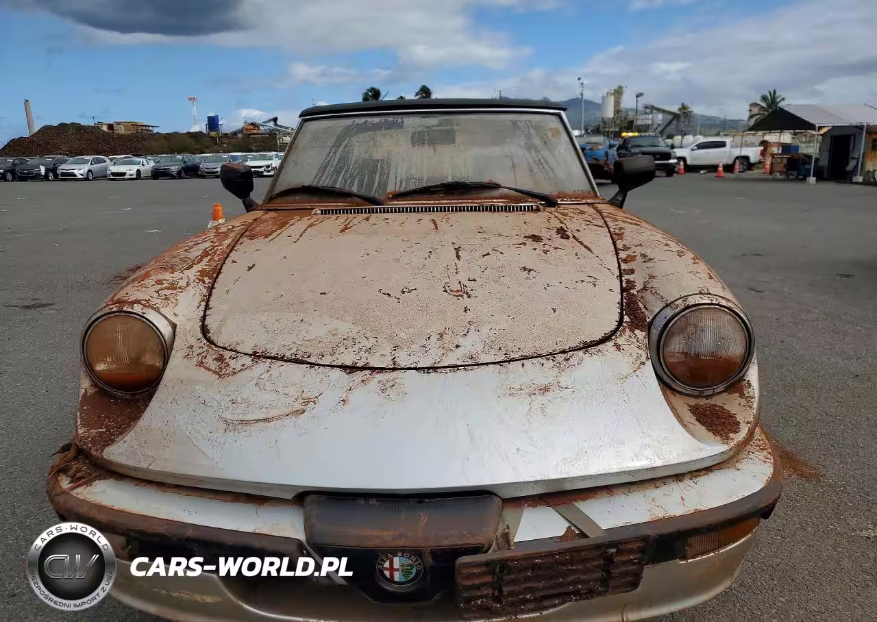 1988 Alfa Romeo Spider VIN:ZAR11538002486455 - 5