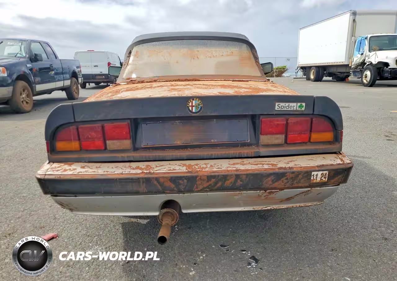 1988 Alfa Romeo Spider VIN:ZAR11538002486455 - 6