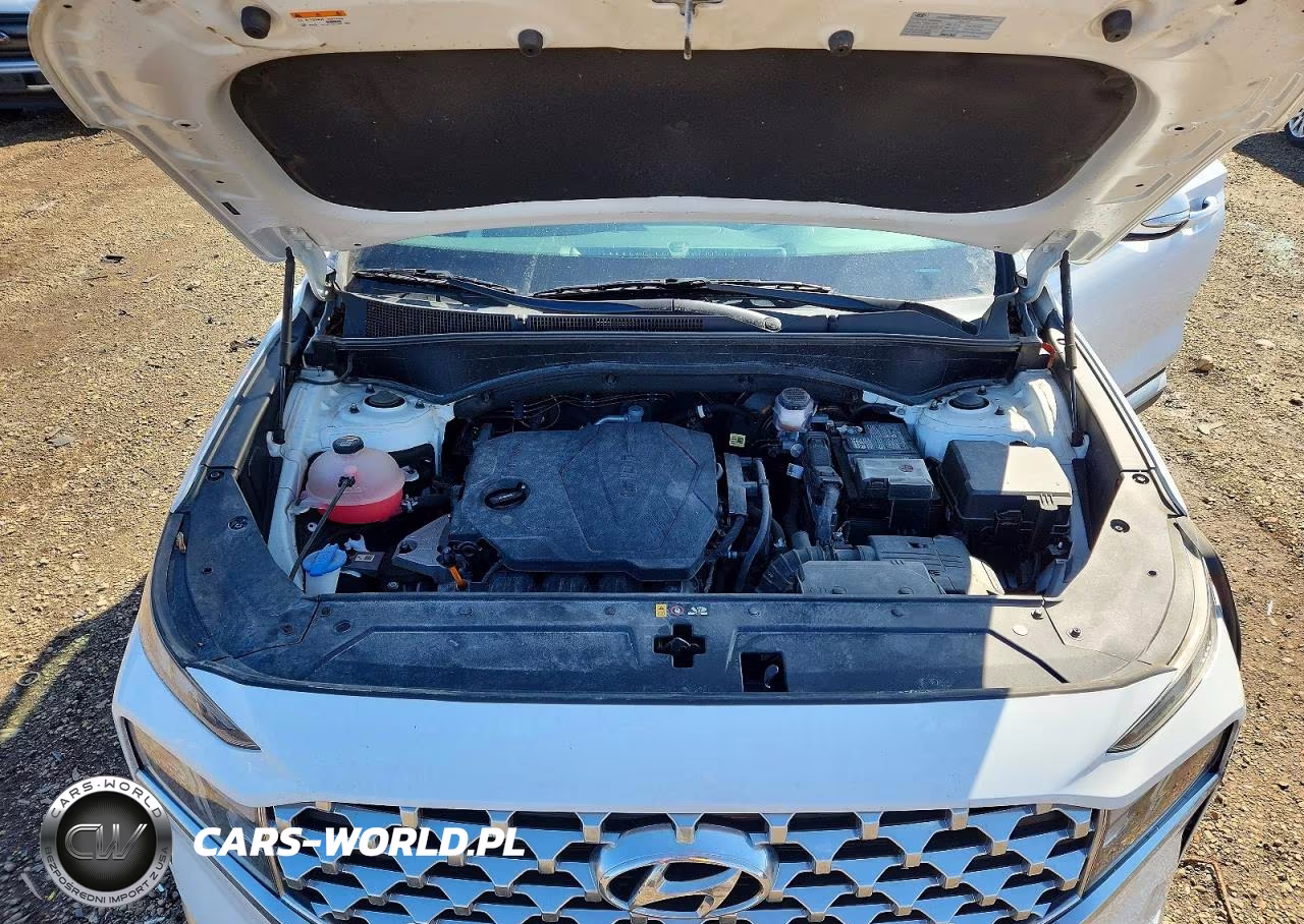 2021 Hyundai Santa Fe Sel VIN:5NMS64AJXMH362154 - 12