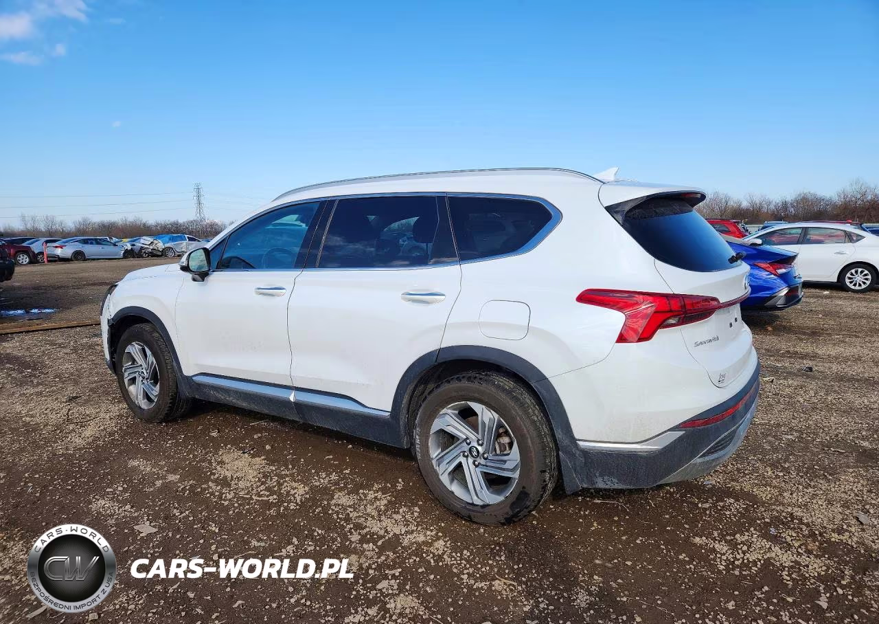 2021 Hyundai Santa Fe Sel VIN:5NMS64AJXMH362154 - 2