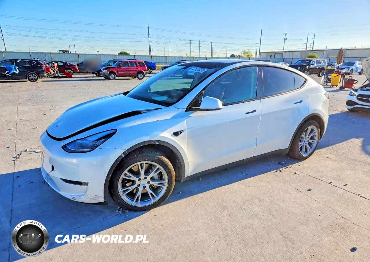 2020 Tesla Model Y