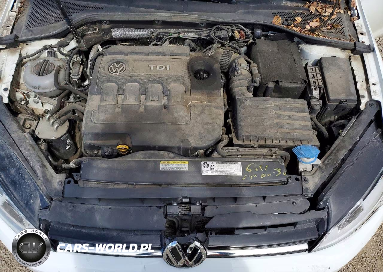 2015 Volkswagen Golf Sportwagen Tdi S VIN:3VWFA7AU4FM520528 - 11