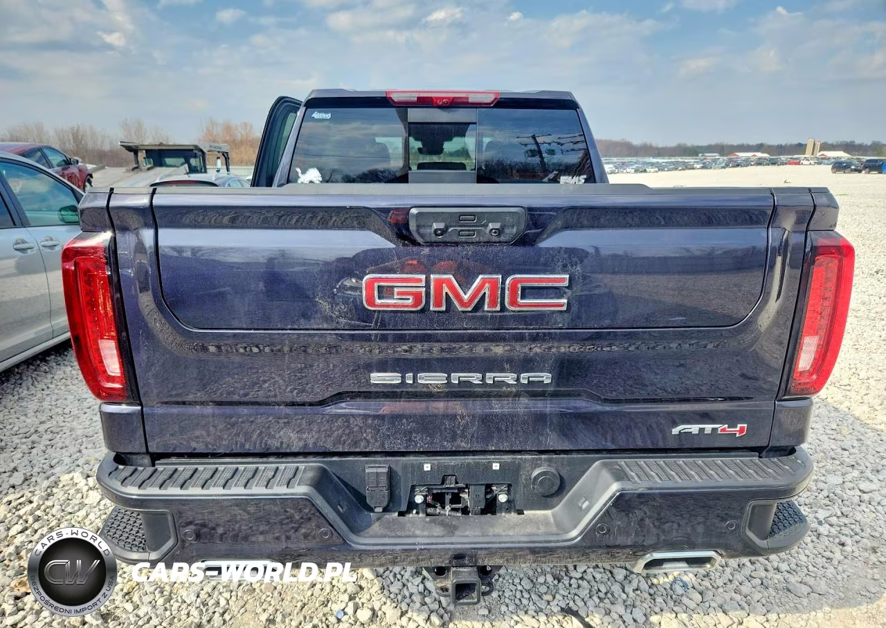 2025 GMC Sierra K1500 At4 VIN:3GTUUEEL0SG374211 - 6