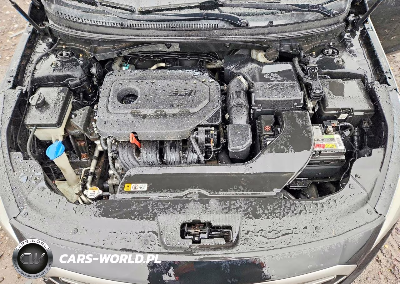 2016 Hyundai Sonata Se VIN:5NPE24AF4GH302009 - 11