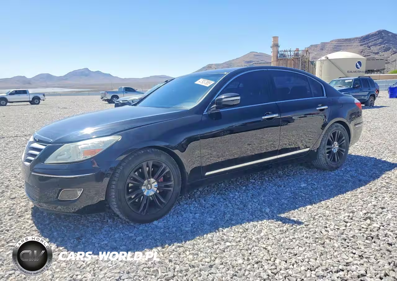 2009 Hyundai Genesis 4.6L V8