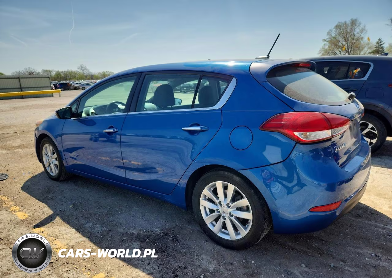 2015 Kia Forte5 Ex VIN:KNAFX5A83F5370925 - 2