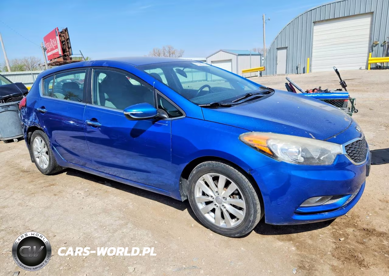 2015 Kia Forte5 Ex VIN:KNAFX5A83F5370925 - 4