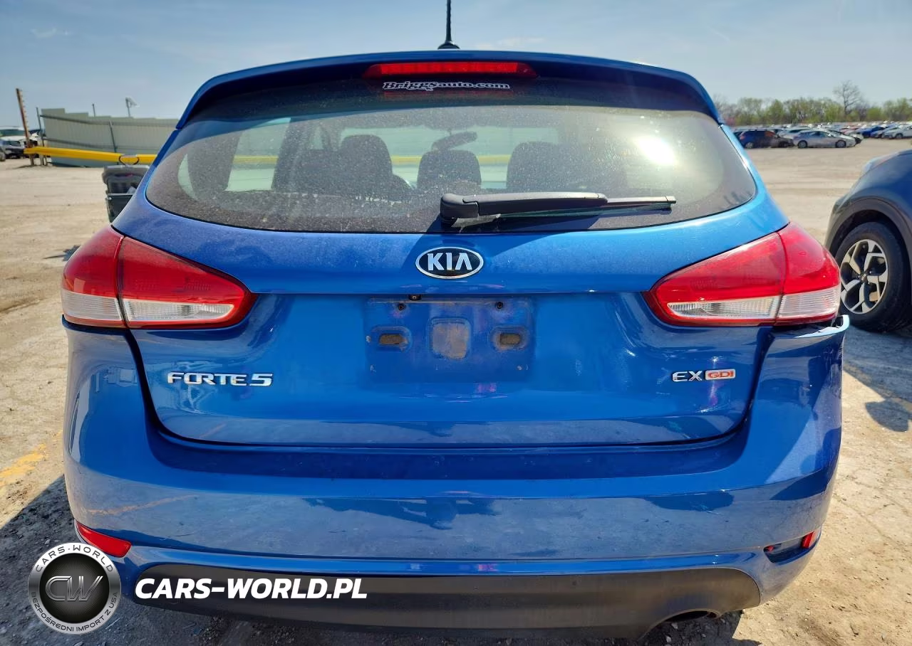2015 Kia Forte5 Ex VIN:KNAFX5A83F5370925 - 6