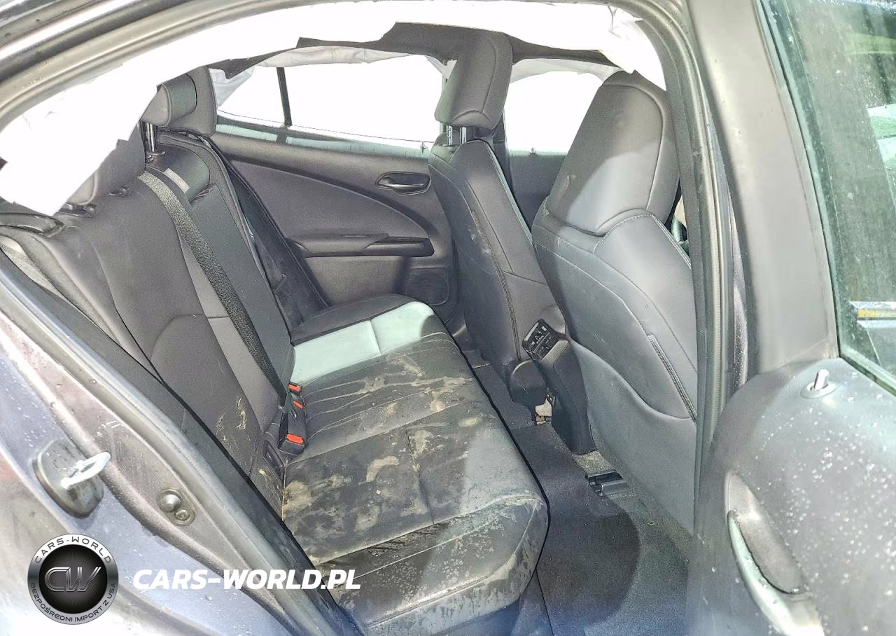 2023 Lexus Ux 250H Premium VIN:JTHP9JBH7P2067785 - 10