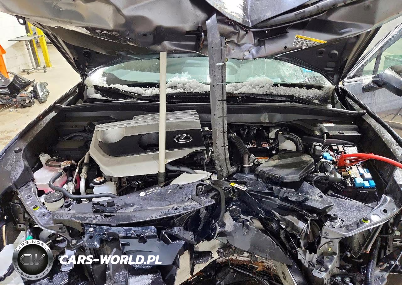 2023 Lexus Ux 250H Premium VIN:JTHP9JBH7P2067785 - 11