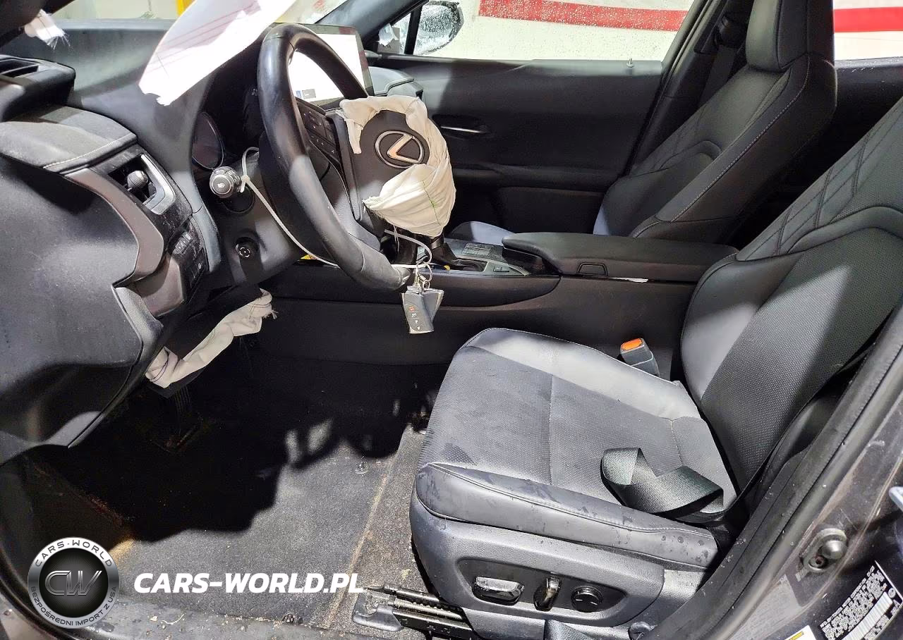 2023 Lexus Ux 250H Premium VIN:JTHP9JBH7P2067785 - 7