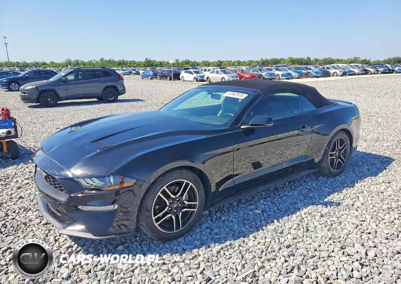 2020 Ford Mustang