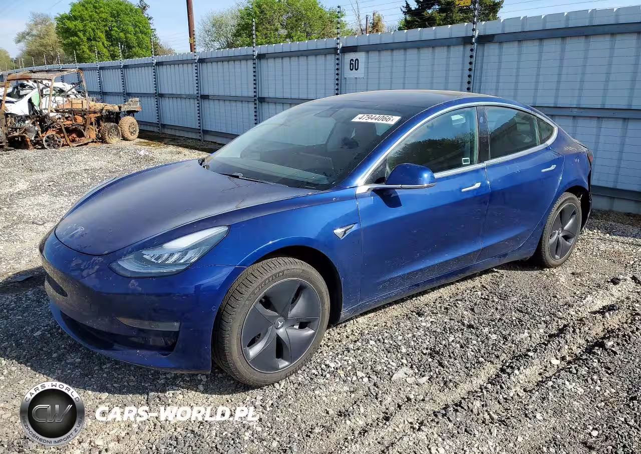 2019 Tesla Model 3