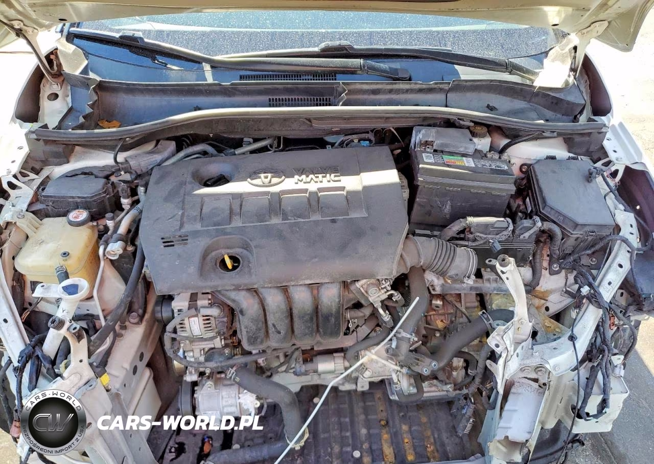 2019 Toyota C-Hr Xle VIN:NMTKHMBX3KR080086 - 12