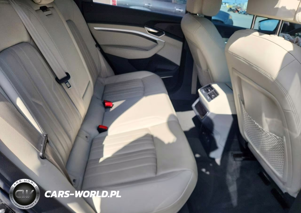 2024 Audi Q8 E-Tron Sportback Premium Plus VIN:WA1CAAGE7RB005967 - 10
