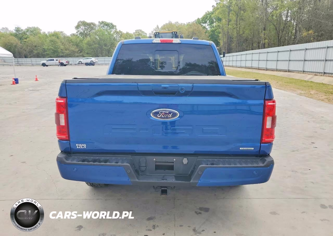 2023 Ford F150 Supercrew VIN:1FTEW1EP2PKE84154 - 6