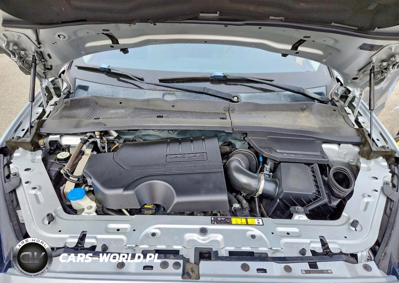2018 Jaguar E-Pace S VIN:SADFJ2FX7J1Z09571 - 12