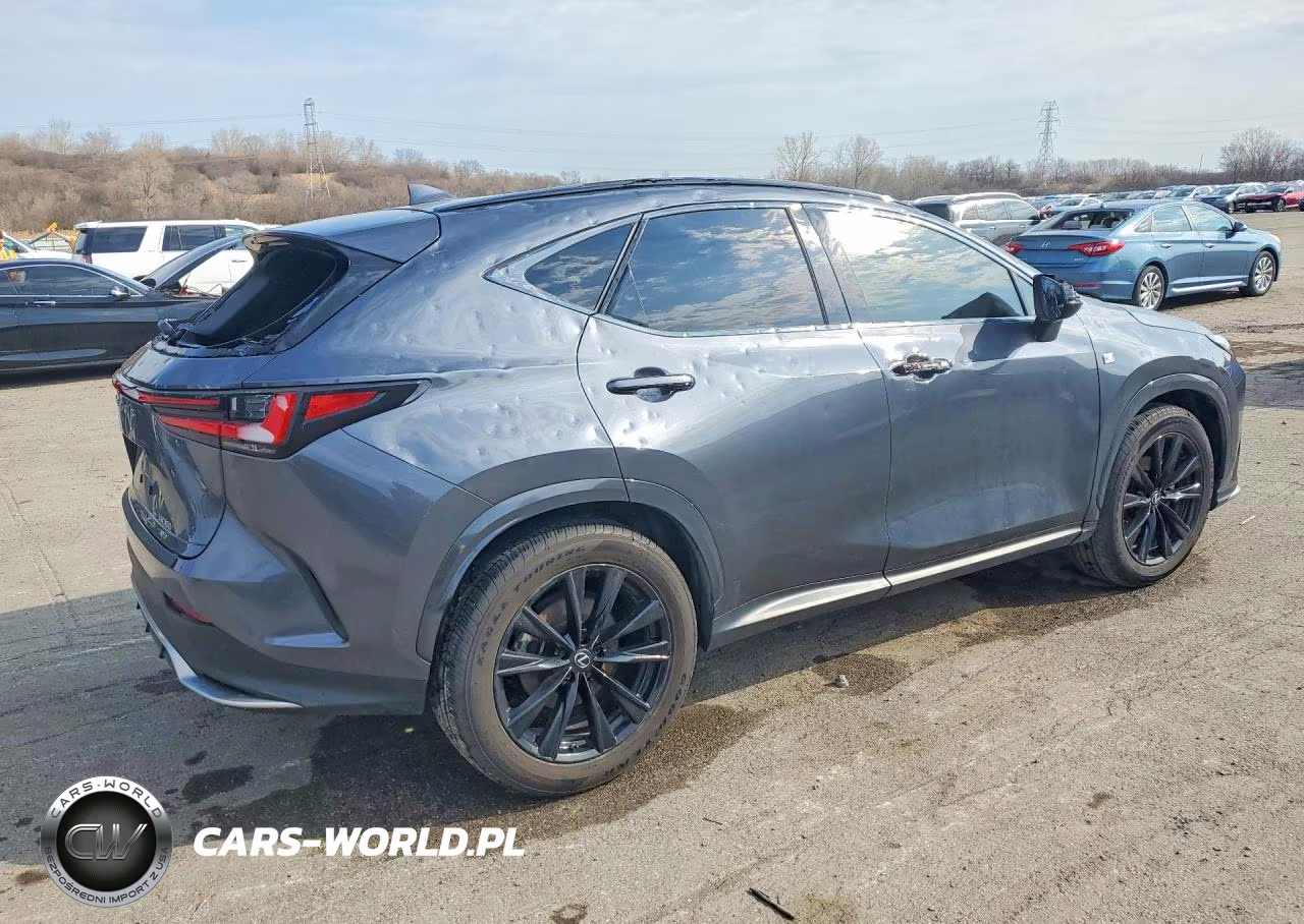 2022 Lexus Nx 350 F Sport Handling VIN:JTJKGCEZ3N2006316 - 3