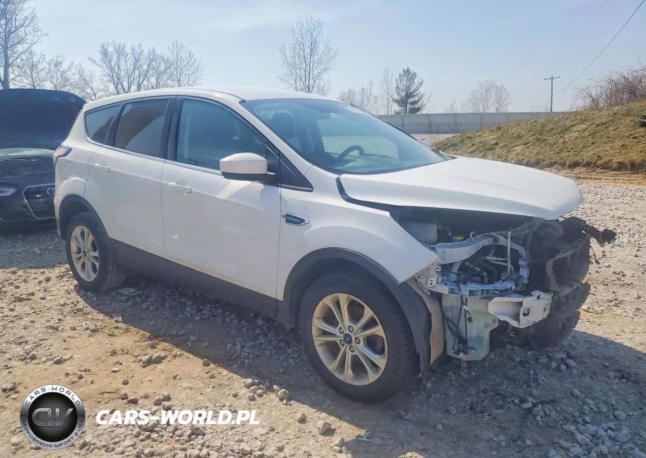 2017 Ford Escape Se VIN:1FMCU0GD7HUD74759 - 4