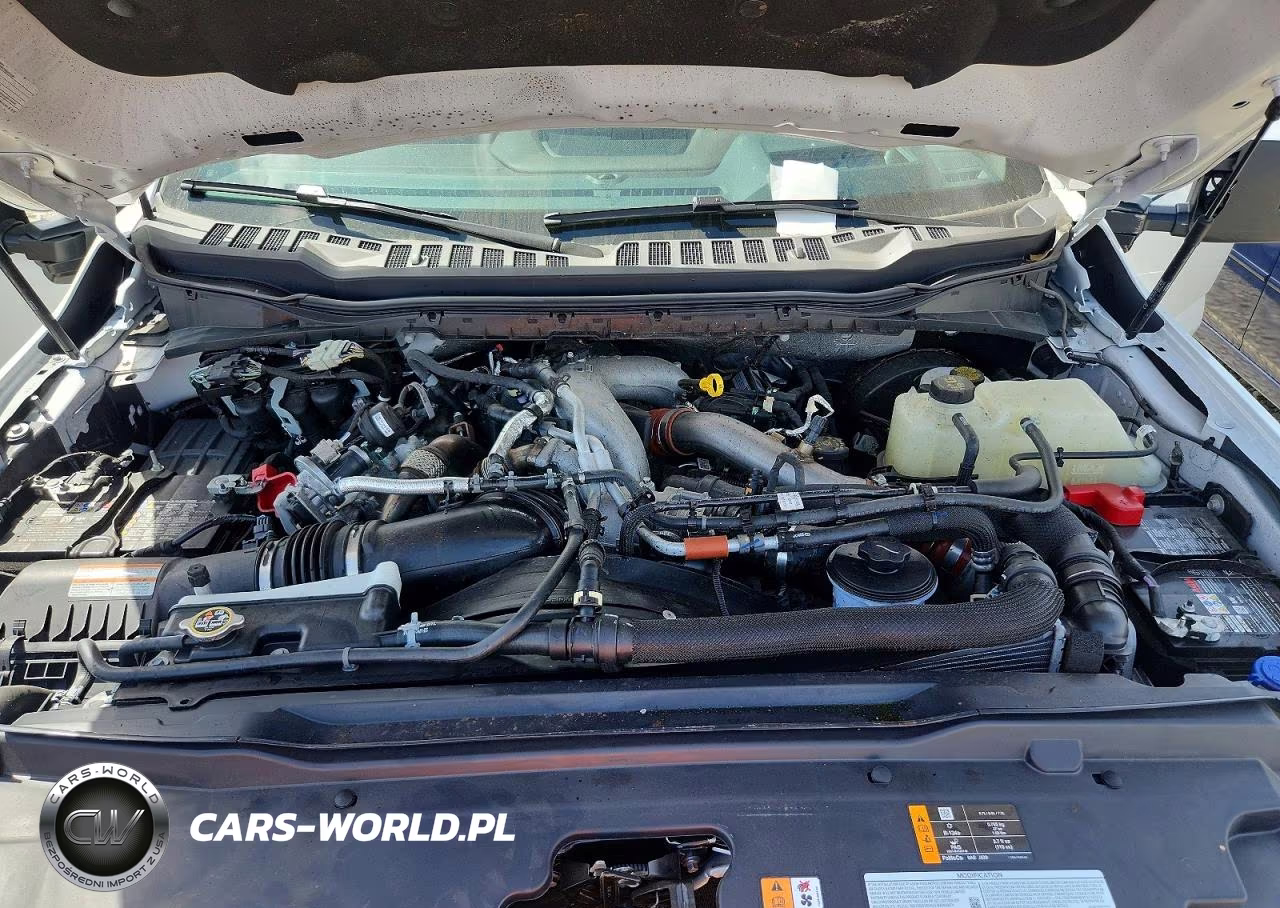 2025 Ford F-250 Super Duty VIN:1FT8W2BM3SEC79303 - 11