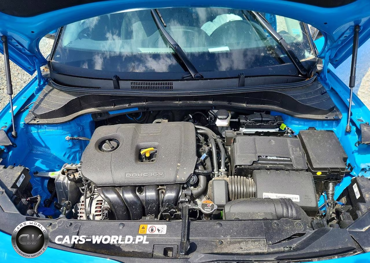 2025 Kia Soul Ex VIN:KNDJ33AU0S7273917 - 12