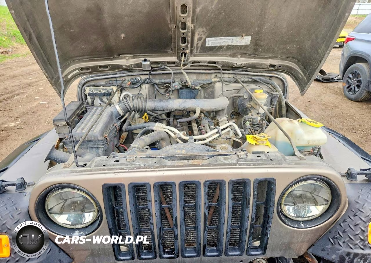 2003 Jeep Wrangler Commando VIN:1J4FA39S23P324862 - 11