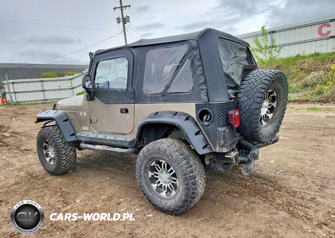 2003 Jeep Wrangler Commando VIN:1J4FA39S23P324862 - 2