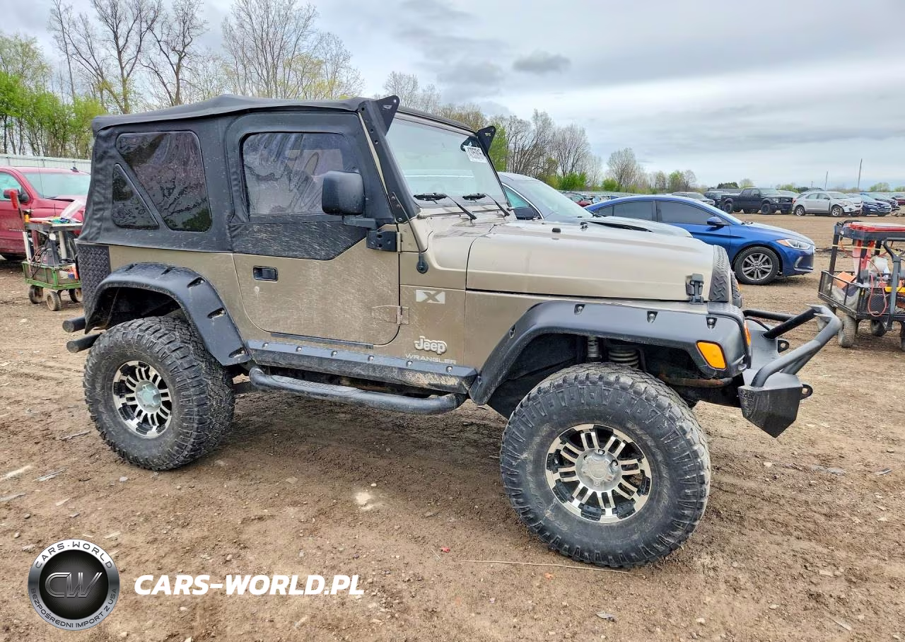 2003 Jeep Wrangler Commando VIN:1J4FA39S23P324862 - 4