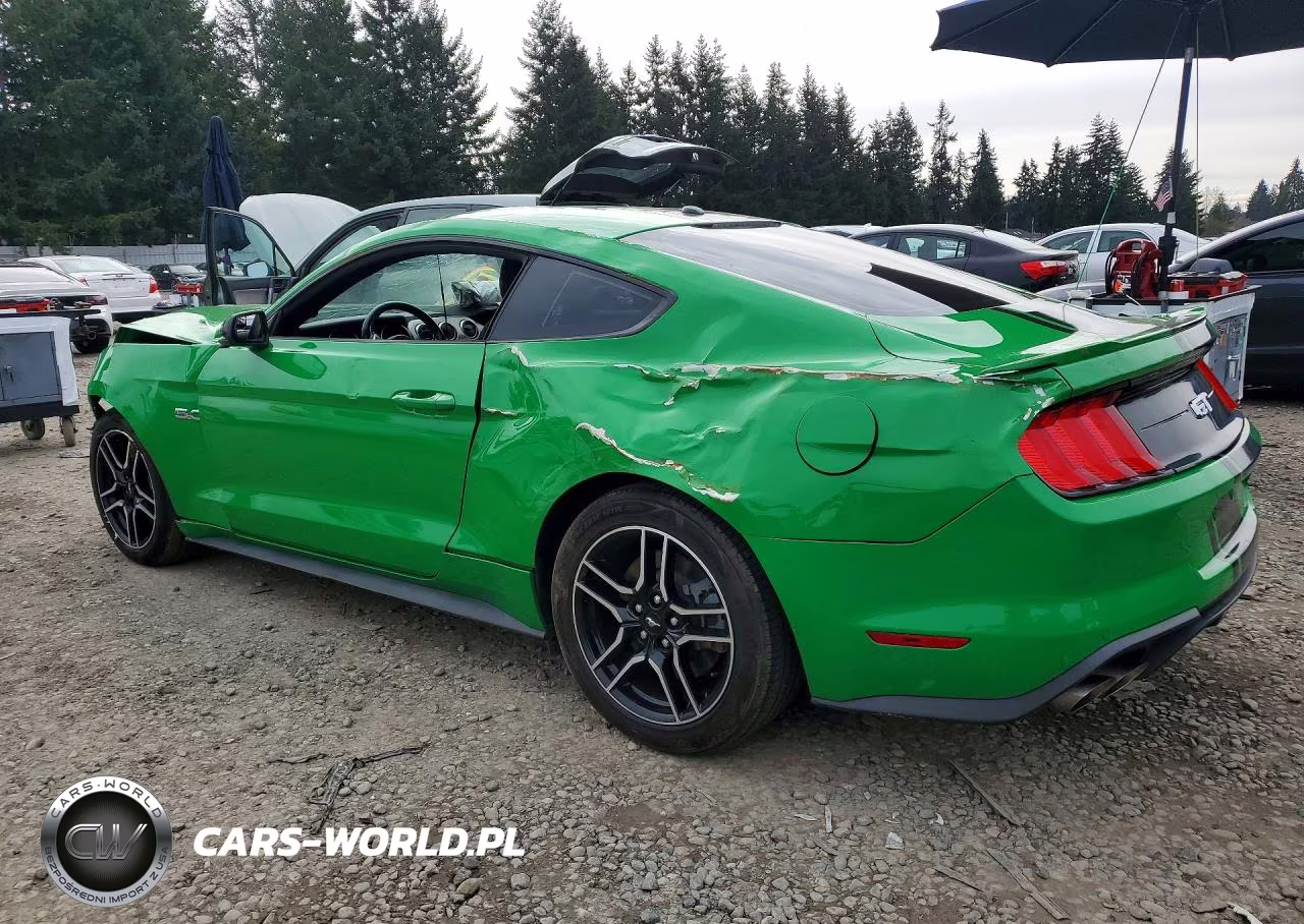 2019 Ford Mustang Gt VIN:1FA6P8CF7K5168945 - 2
