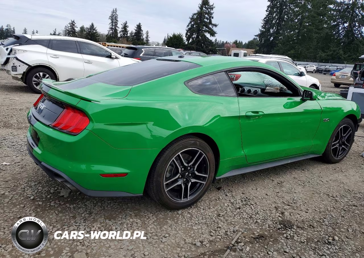 2019 Ford Mustang Gt VIN:1FA6P8CF7K5168945 - 3