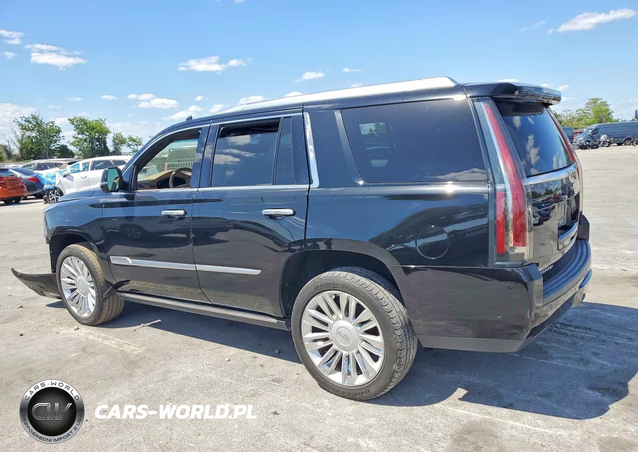 2019 Cadillac Escalade Platinum VIN:1GYS4DKJ3KR249198 - 2
