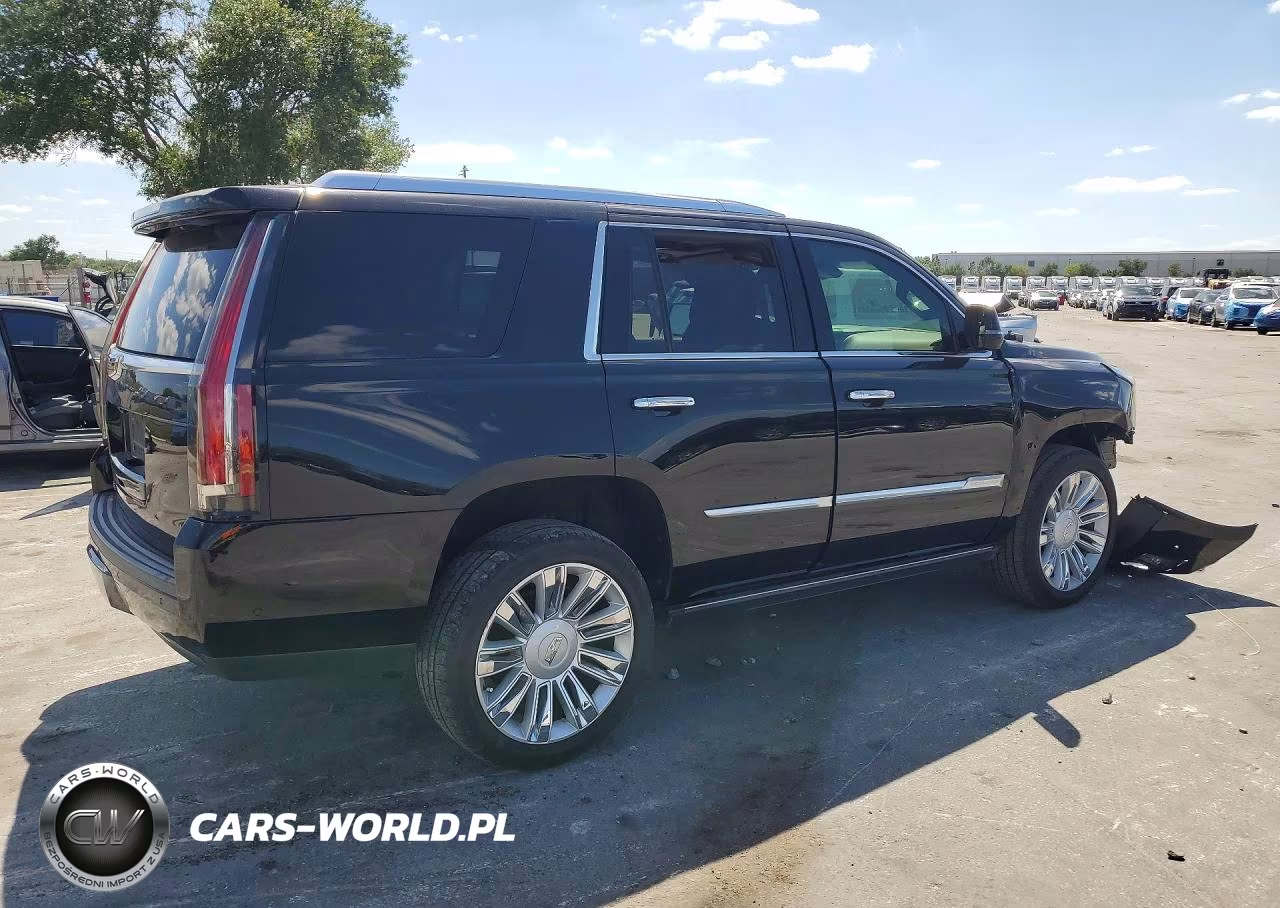 2019 Cadillac Escalade Platinum VIN:1GYS4DKJ3KR249198 - 3