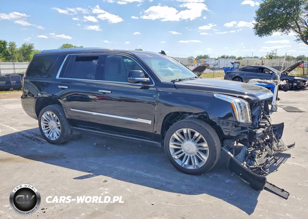 2019 Cadillac Escalade Platinum VIN:1GYS4DKJ3KR249198 - 4