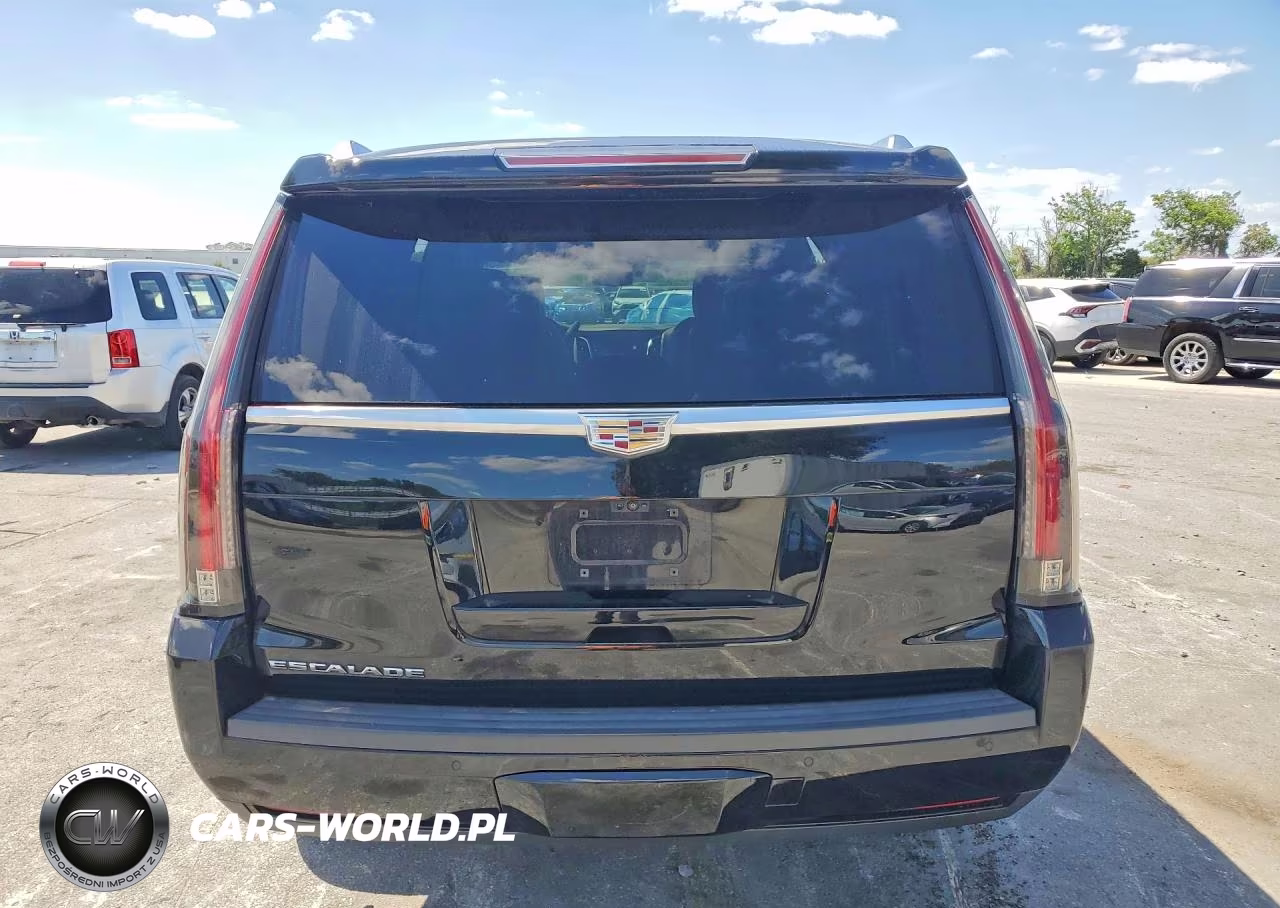 2019 Cadillac Escalade Platinum VIN:1GYS4DKJ3KR249198 - 6