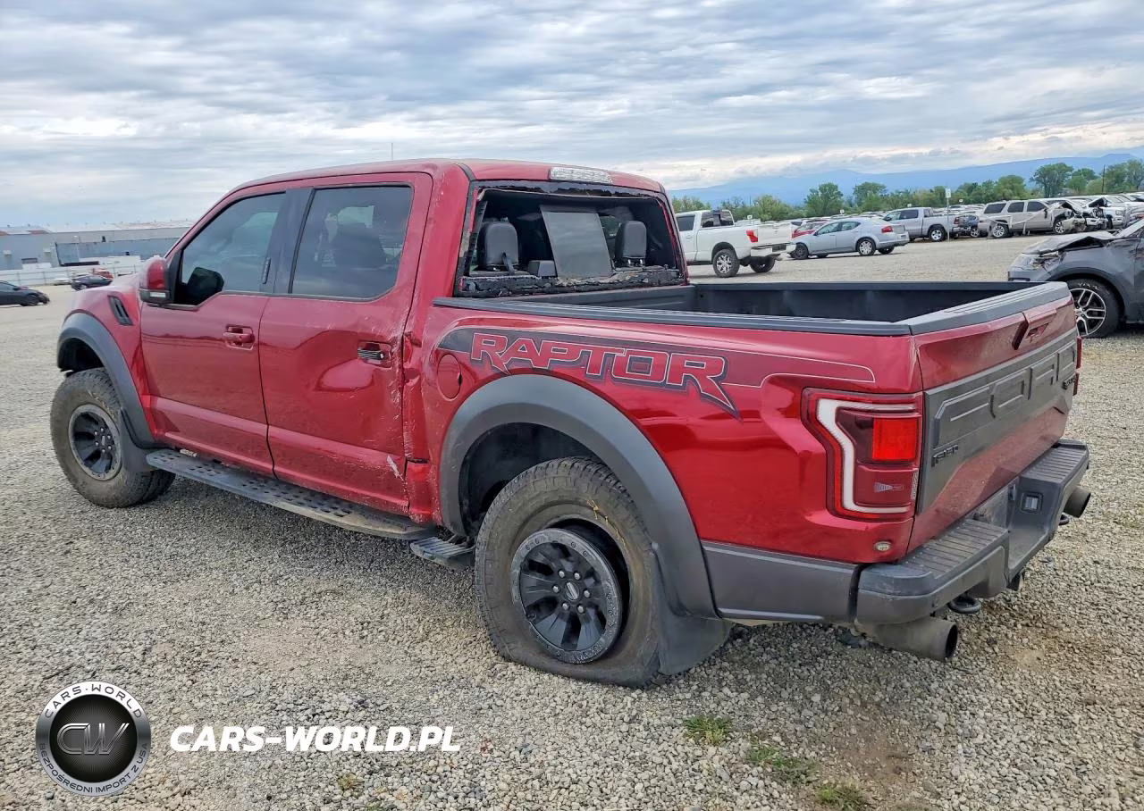 2017 Ford F150 Raptor VIN:1FTFW1RG1HFC03213 - 2