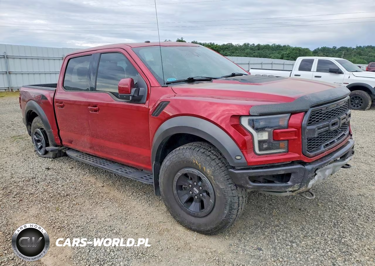 2017 Ford F150 Raptor VIN:1FTFW1RG1HFC03213 - 4