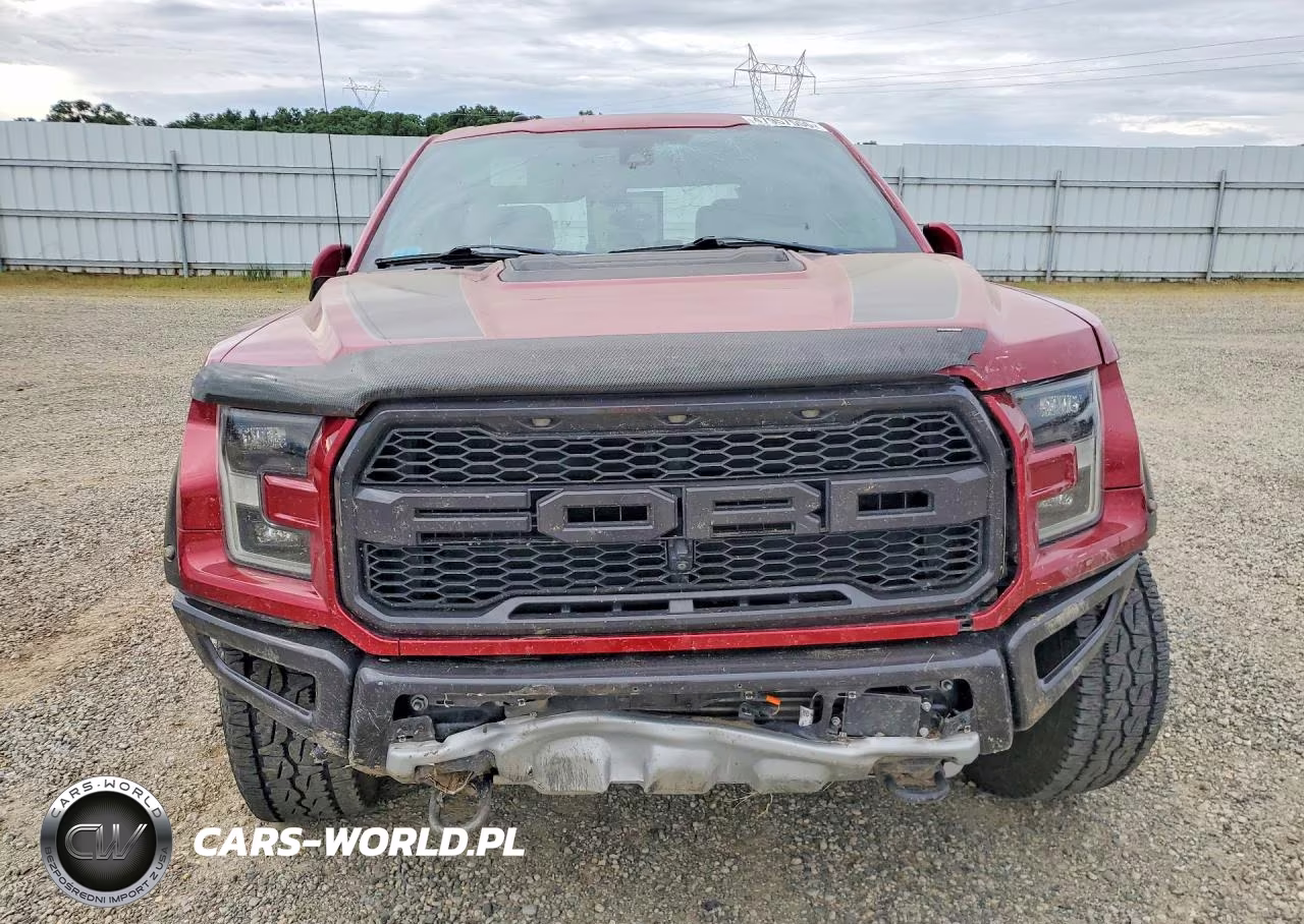 2017 Ford F150 Raptor VIN:1FTFW1RG1HFC03213 - 5