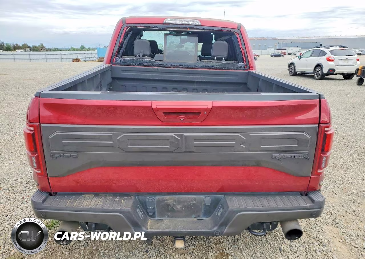 2017 Ford F150 Raptor VIN:1FTFW1RG1HFC03213 - 6