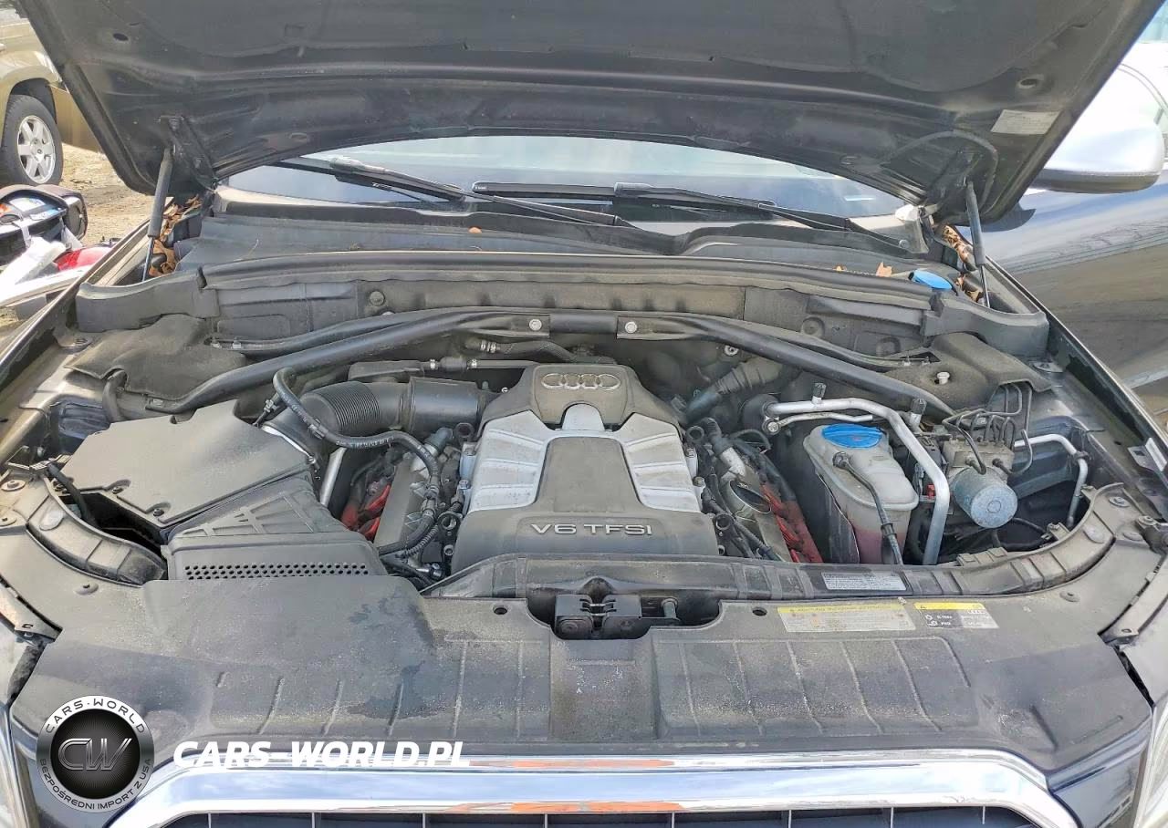 2014 Audi Sq5 Premium Plus VIN:WA1CGBFP4EA120064 - 12