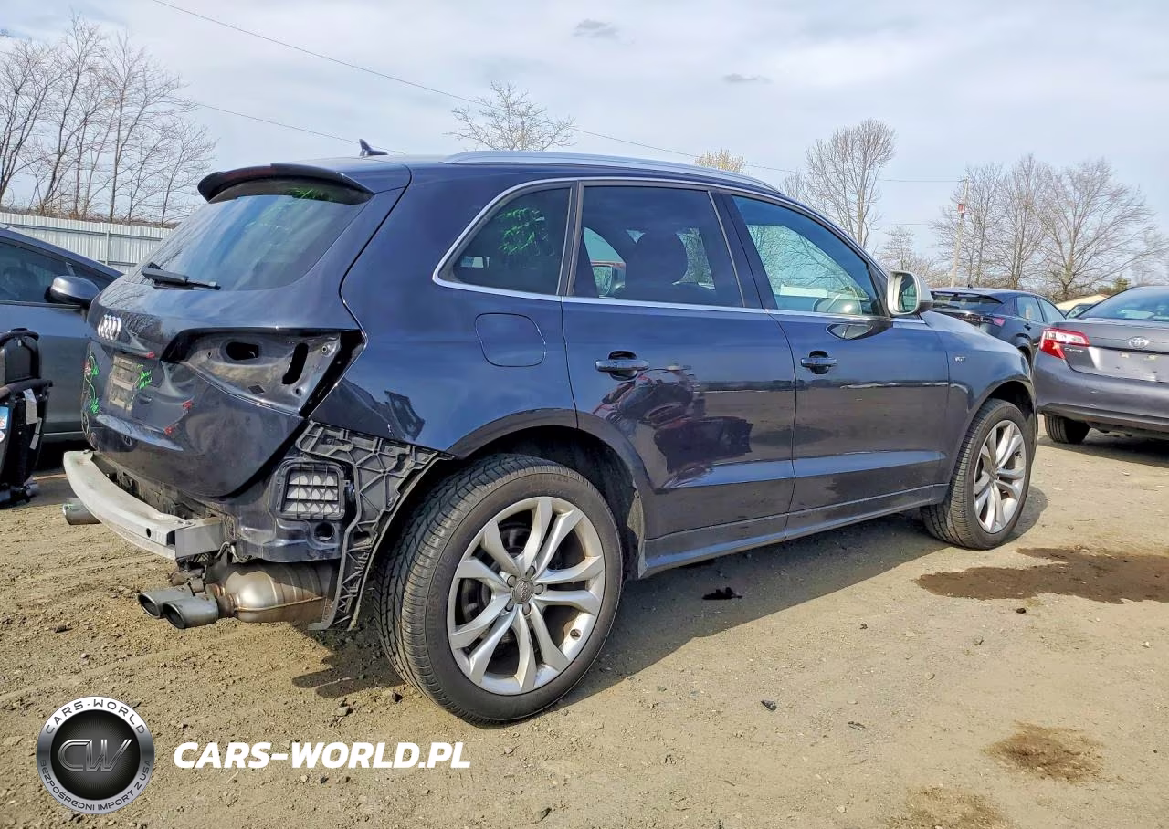 2014 Audi Sq5 Premium Plus VIN:WA1CGBFP4EA120064 - 3