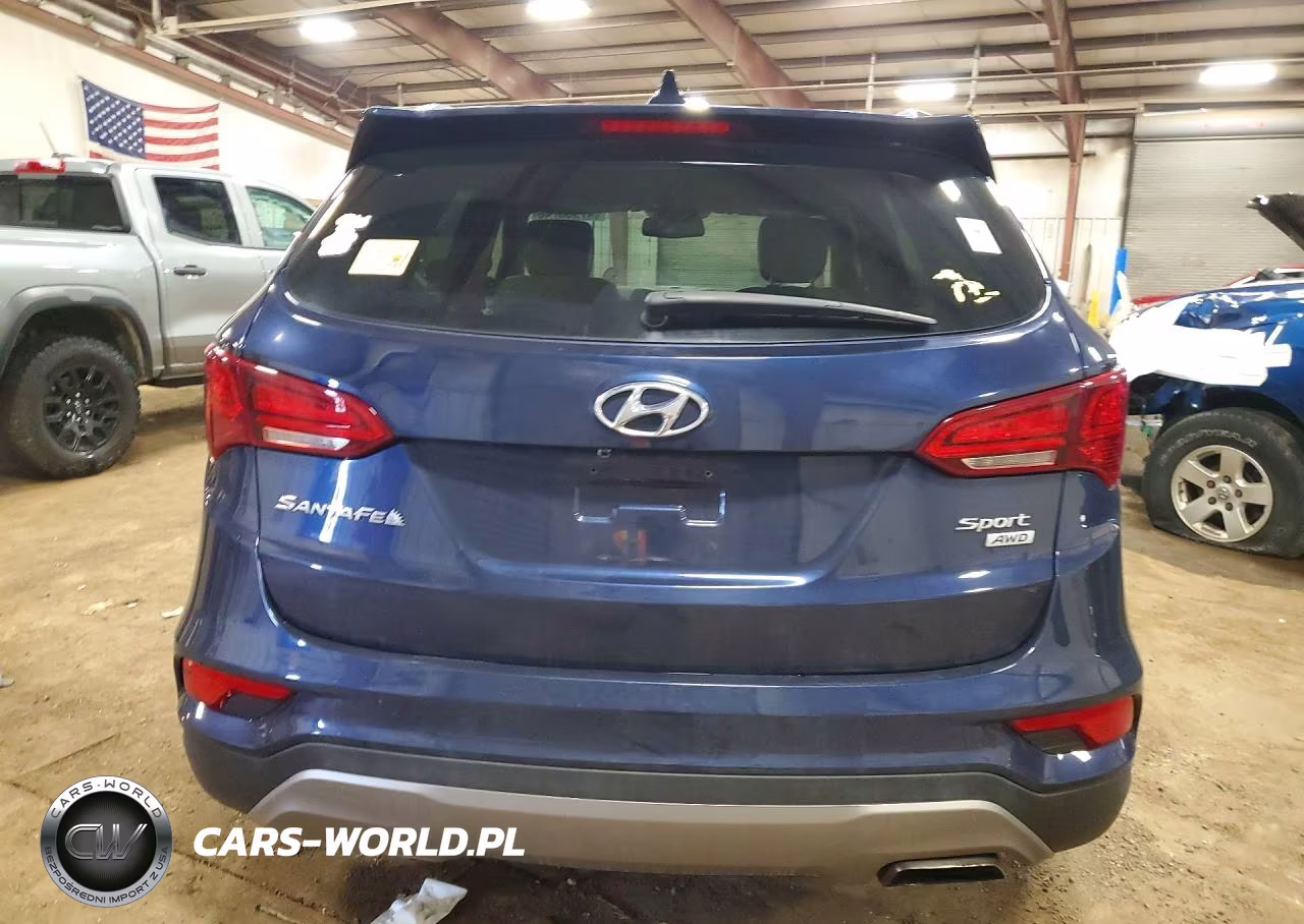 2017 Hyundai Santa Fe Sport 2.4L VIN:5XYZUDLB7HG478356 - 6
