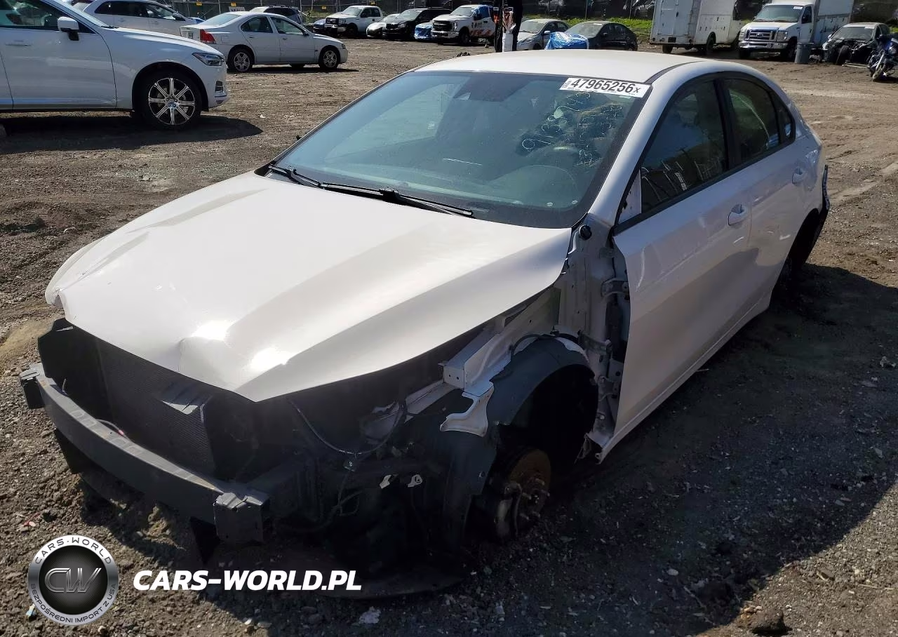 2019 Kia Forte Lxs
