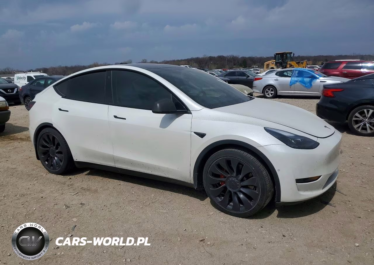 2022 Tesla Model Y VIN:7SAYGDEF7NF406145 - 4