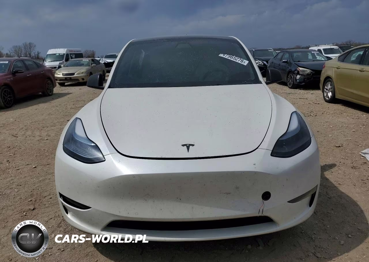 2022 Tesla Model Y VIN:7SAYGDEF7NF406145 - 5