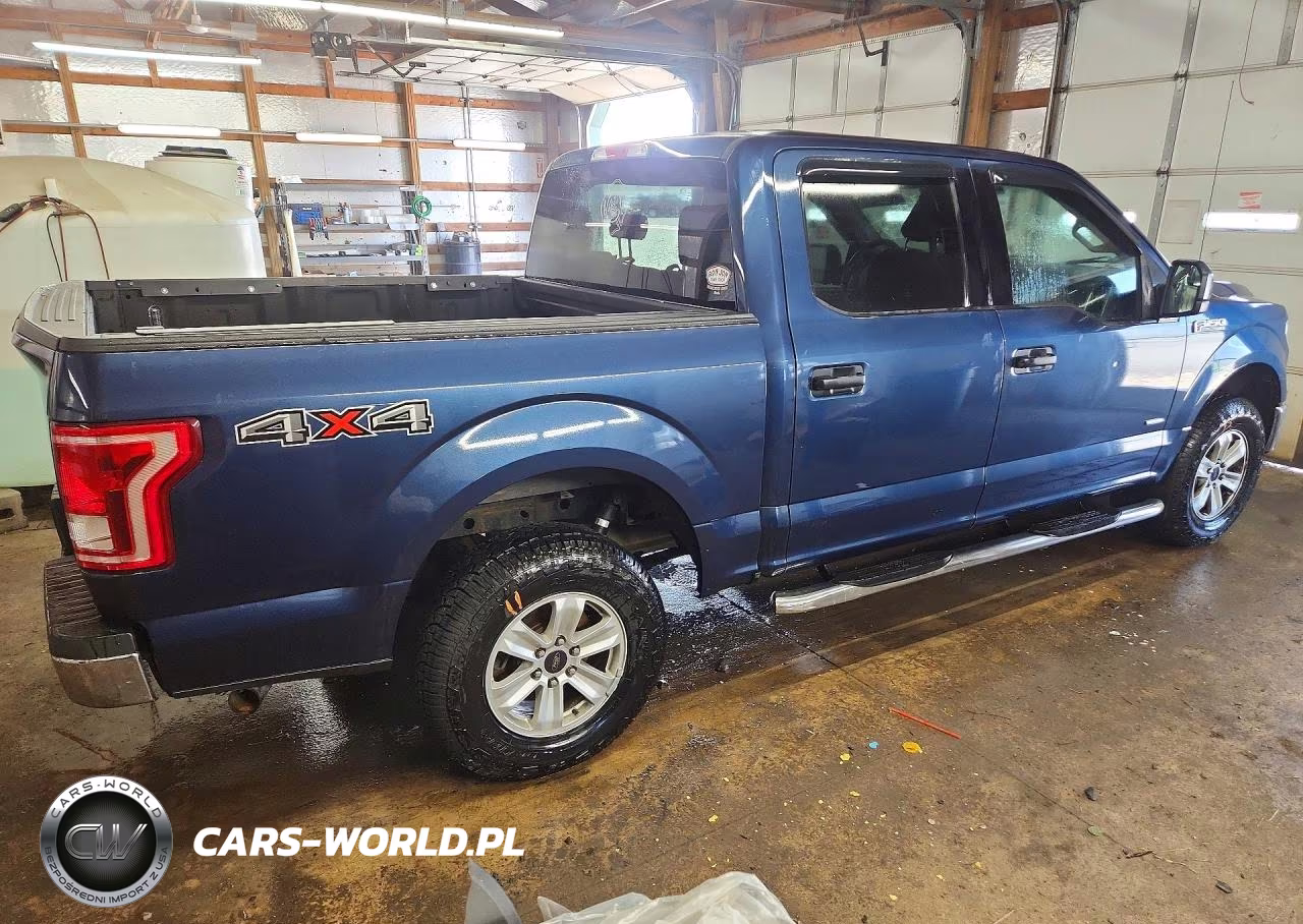 2017 Ford F150 Supercrew VIN:1FTEW1EG3HFB42867 - 3