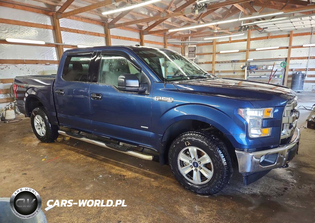 2017 Ford F150 Supercrew VIN:1FTEW1EG3HFB42867 - 4