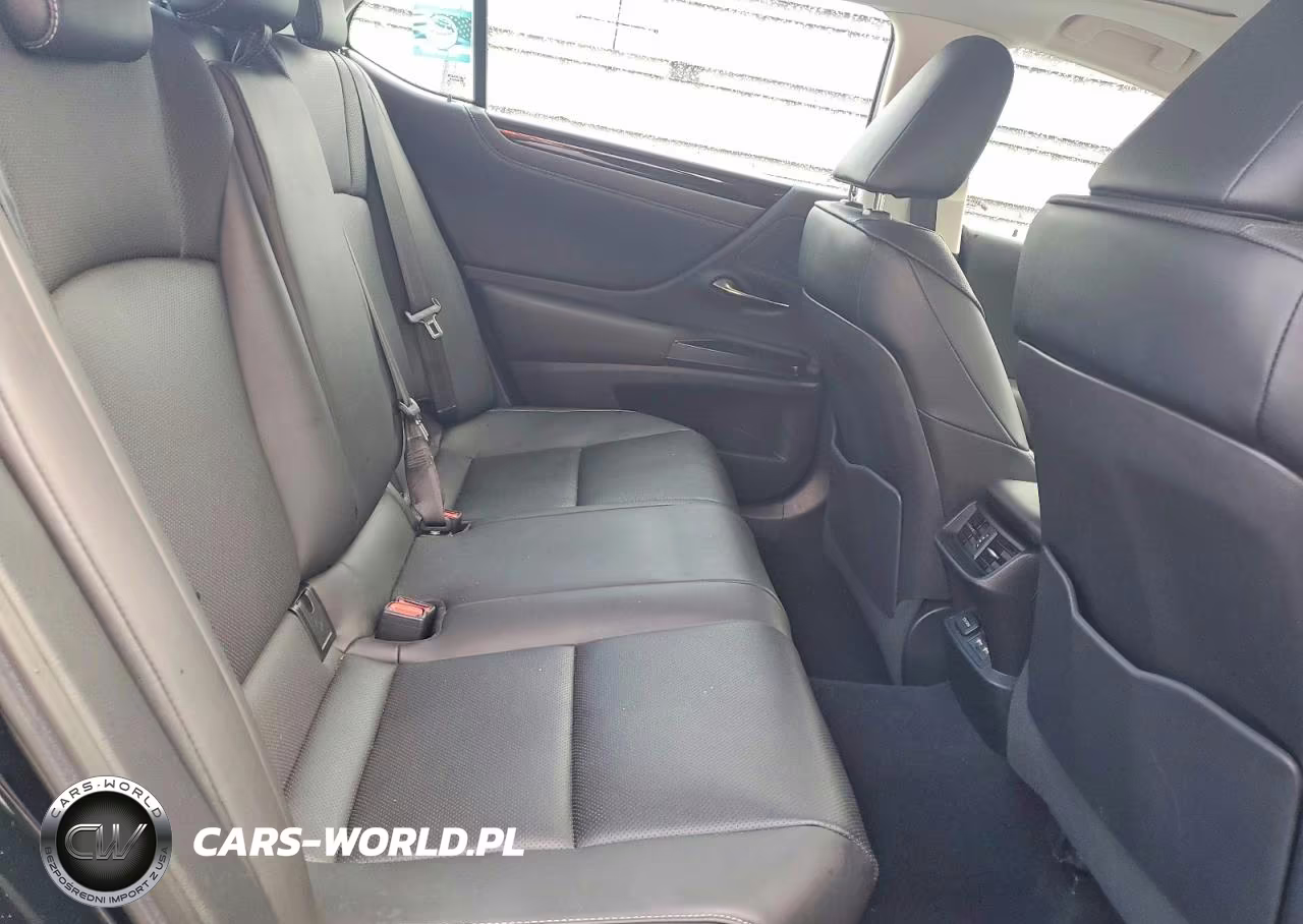 2020 Lexus Es 300H Base VIN:58AD21B13LU009056 - 10