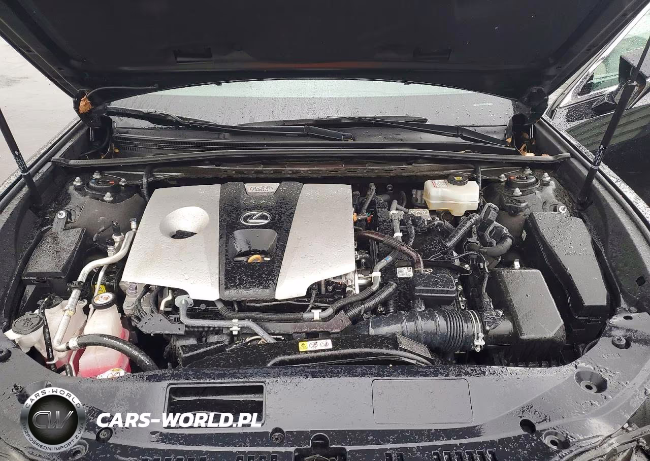 2020 Lexus Es 300H Base VIN:58AD21B13LU009056 - 11