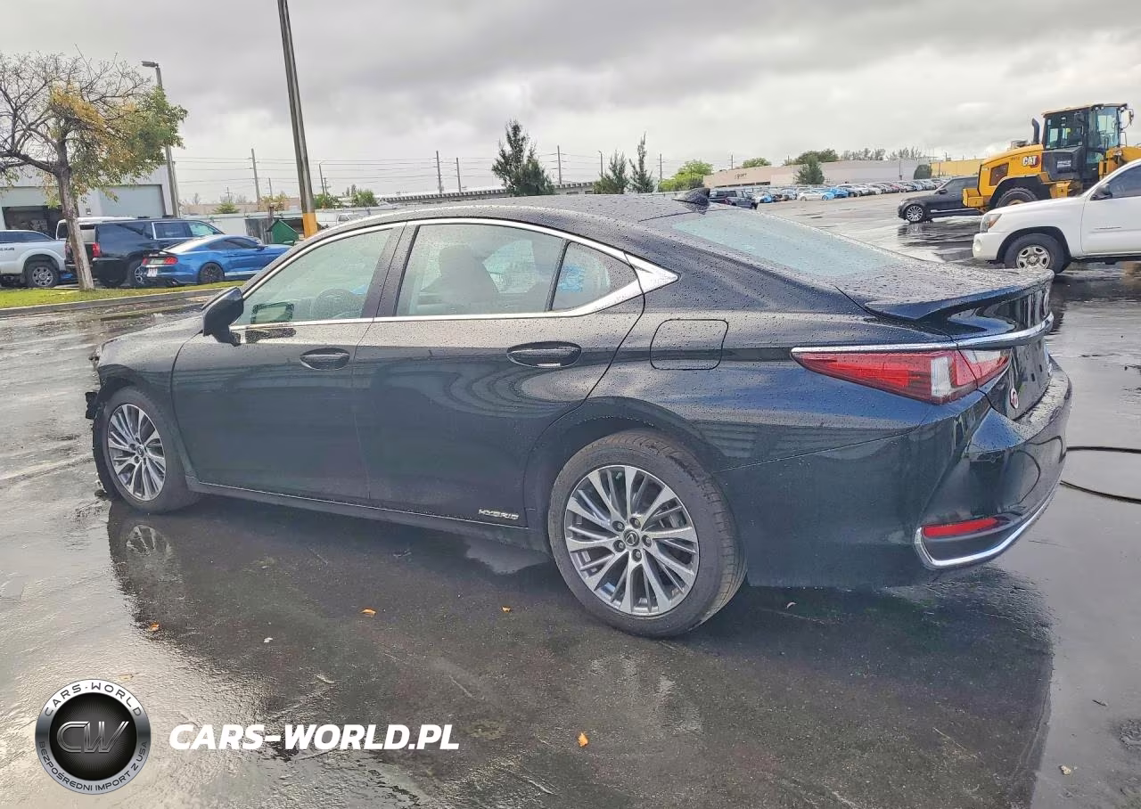 2020 Lexus Es 300H Base VIN:58AD21B13LU009056 - 2
